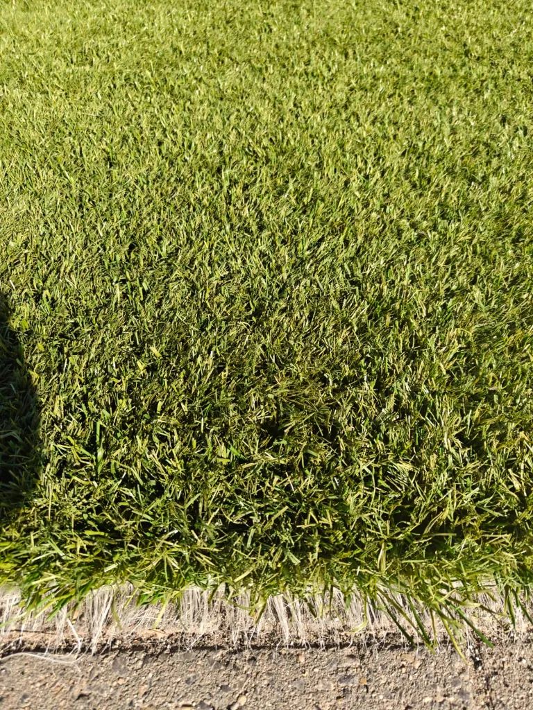 WhatsApp Image 2026-04-22 at 09.18.36 (1).webp