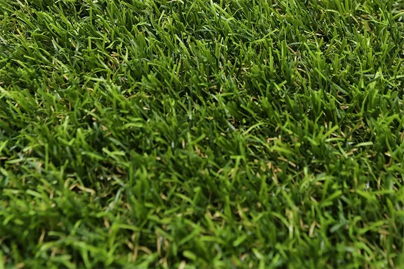 nature 45mm 2025 3.webp