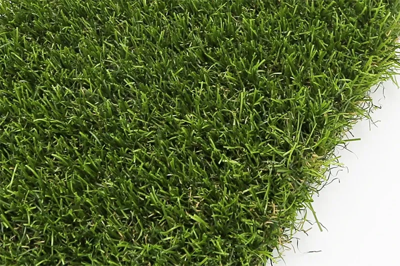 nature 45mm 2025 2.webp