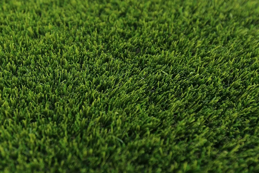 Nature 38mm 2025 3.webp