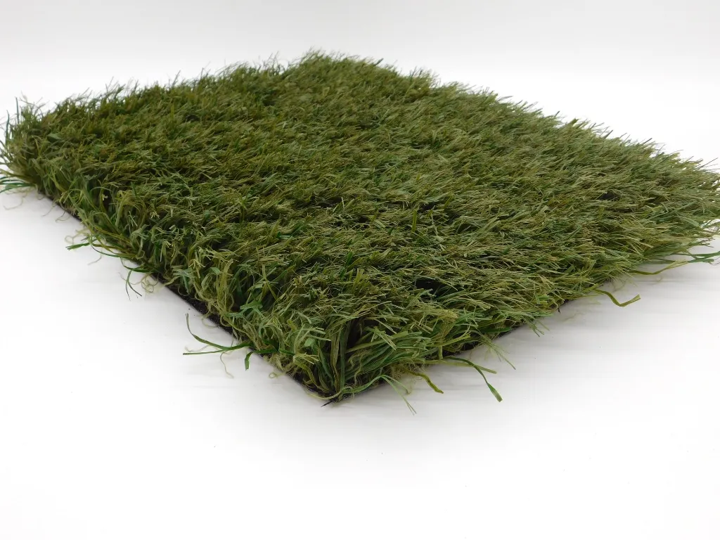 ronaldo2026-3.webp