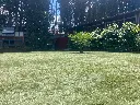 Ronaldo2026-2.webp